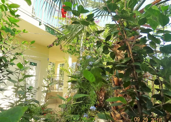 Branko Apartamento *