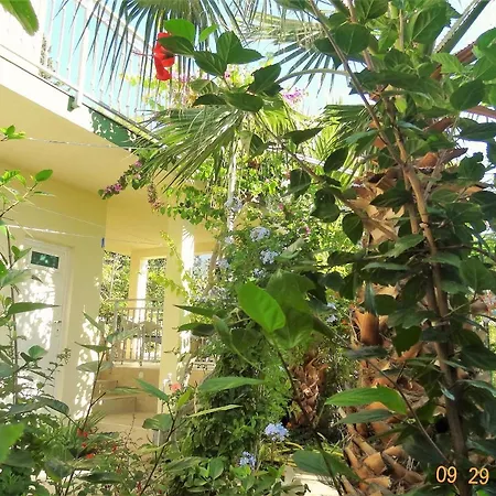Branko Apartamento *