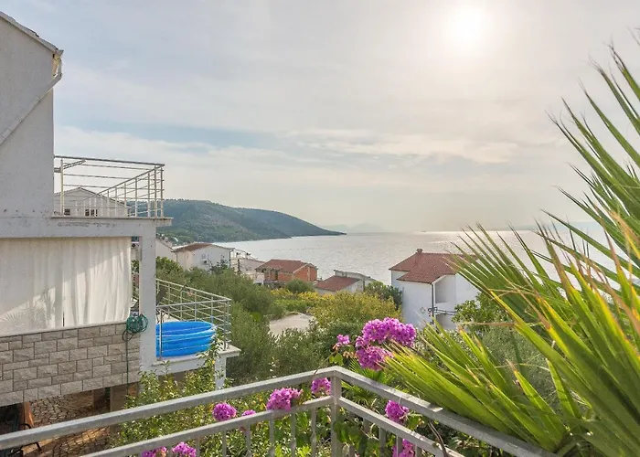 Branko Apartamento