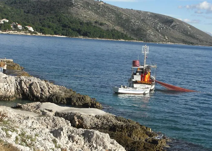 Branko Trogir